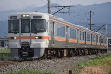 JR東海313系シスN4編成を小井川～常永間で撮影した画像