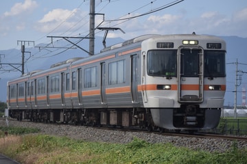 JR東海313系シスT5編成を常永～小井川間で撮影した画像
