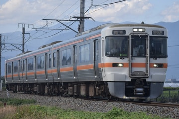 JR東海313系シスN4編成を常永～小井川間で撮影した画像