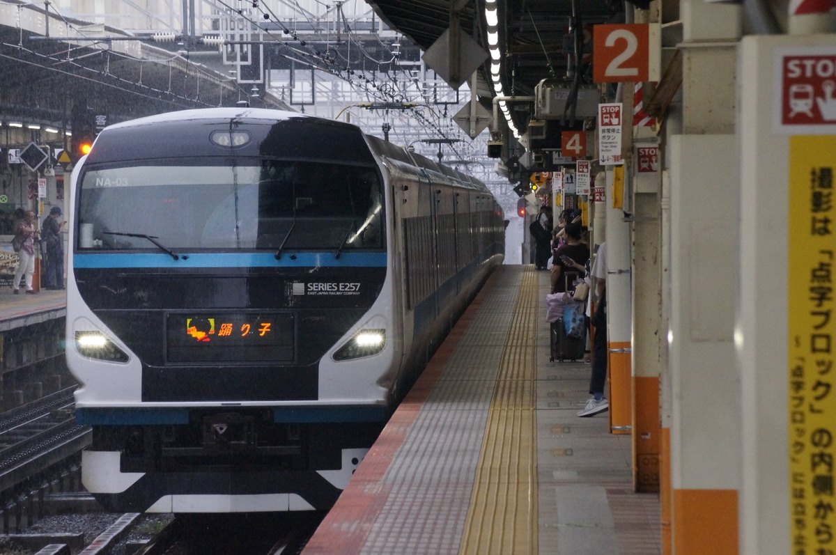 JR東日本 大宮総合車両センター東大宮センター E257系 オオNA-03編成