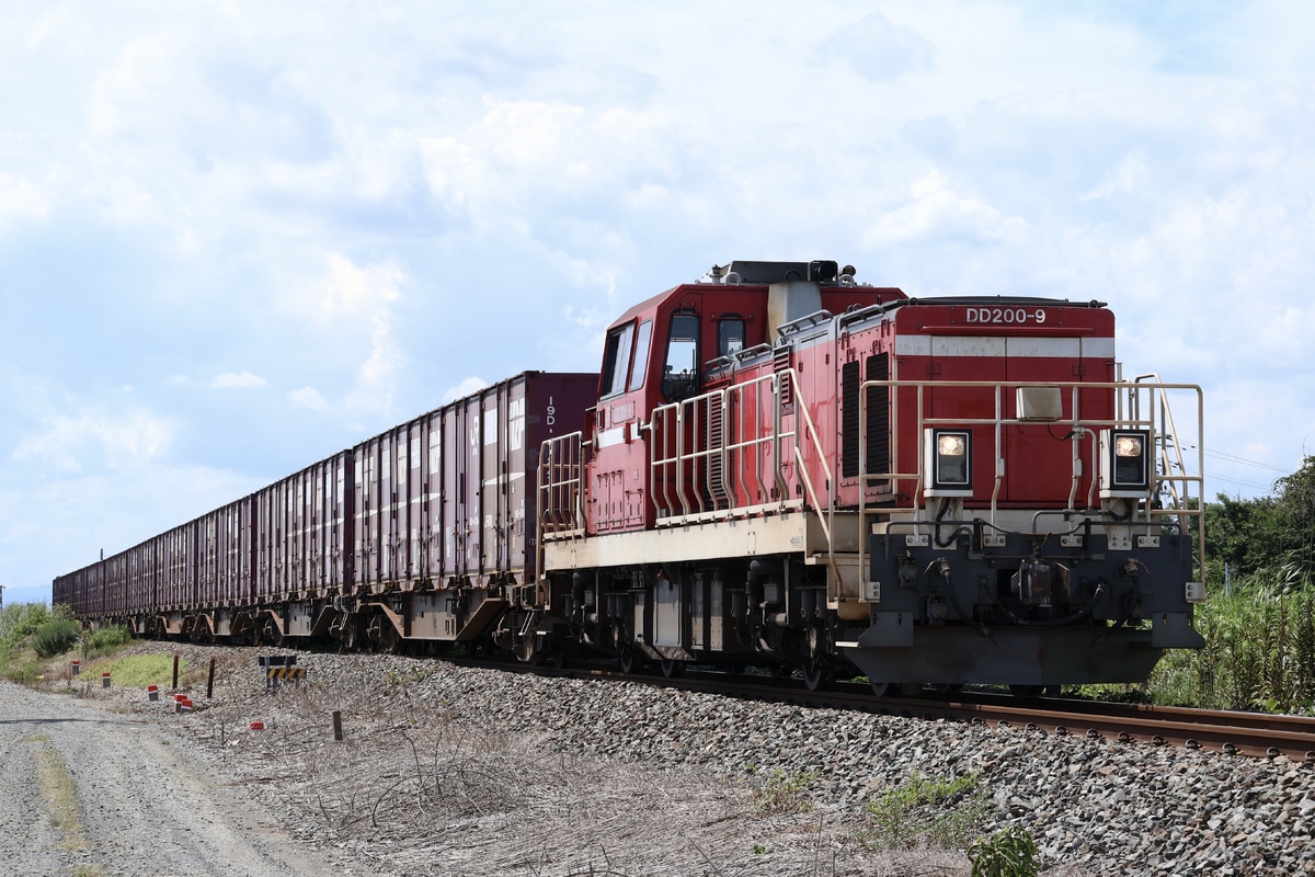 JR東日本 愛知機関区 DD200 9