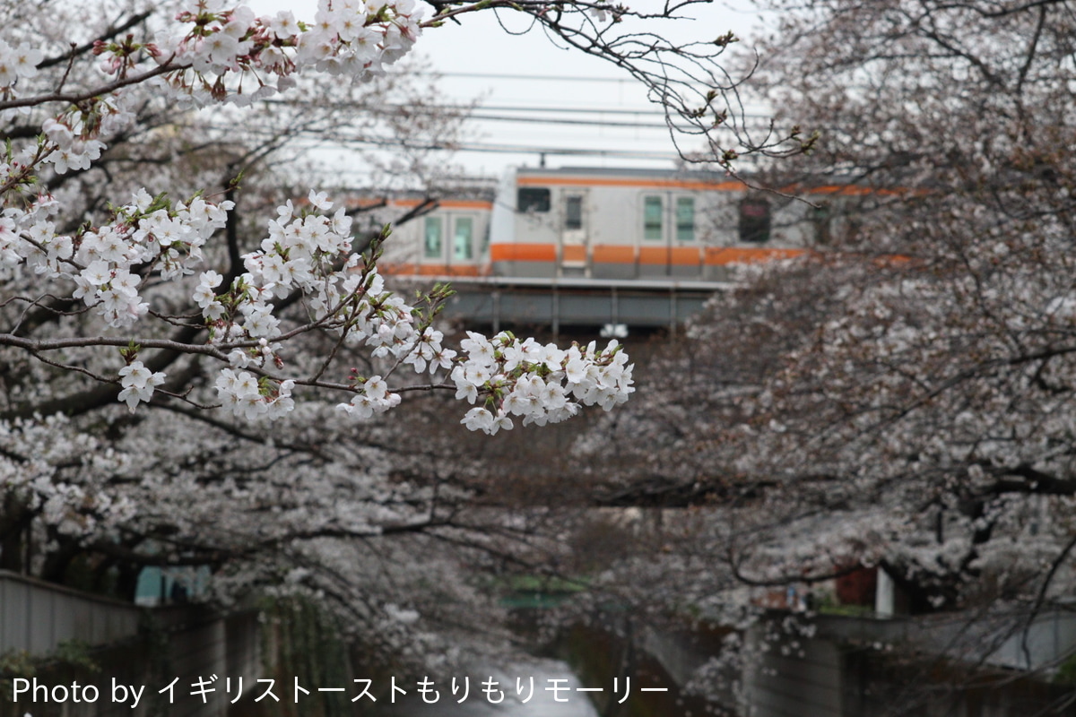 JR東日本 豊田車両センター本区 E233系 