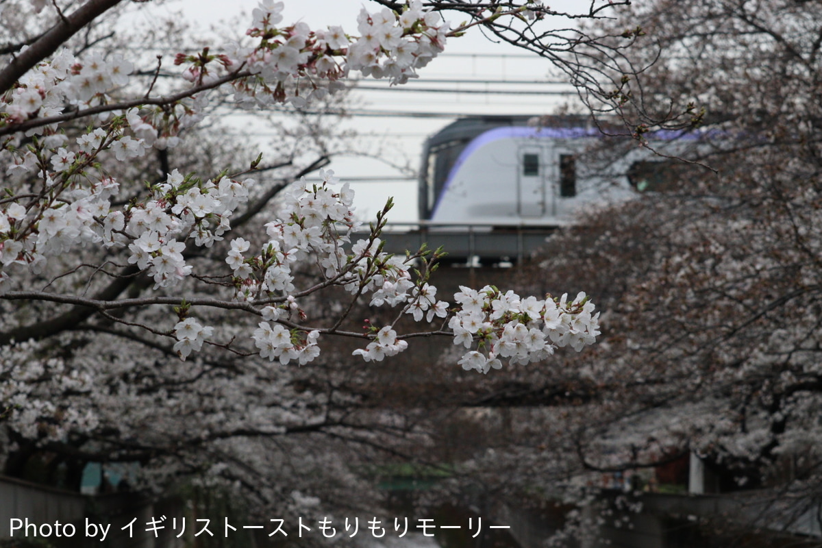JR東日本 松本車両センター E353系 