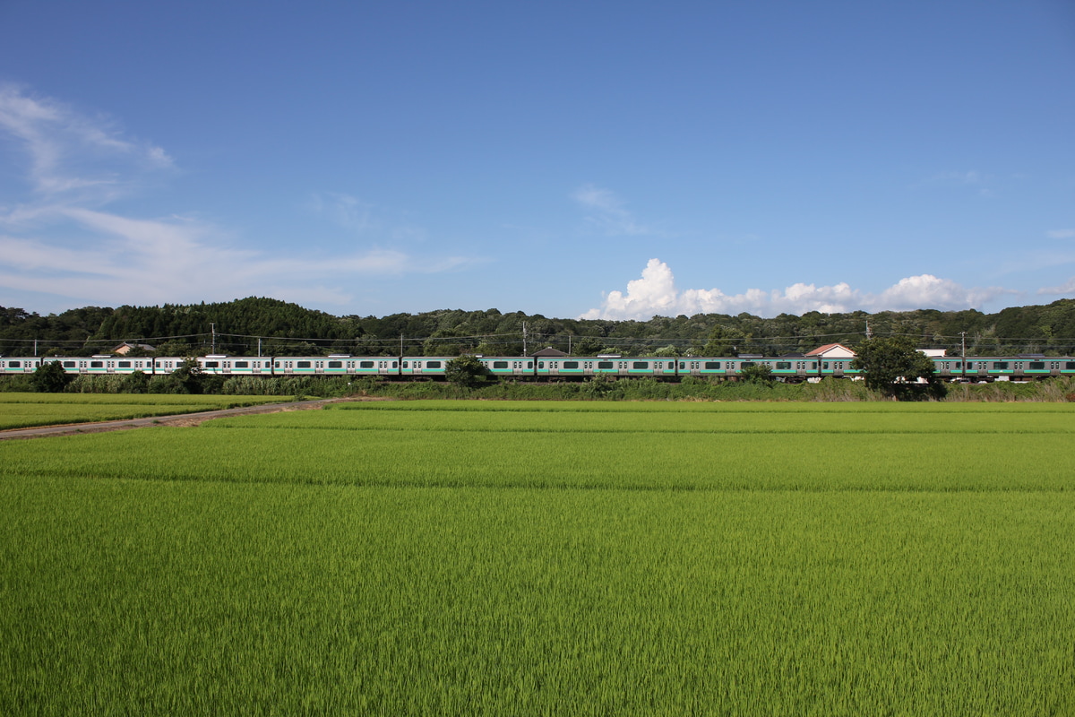 JR東日本 松戸車両センター本区 E231系 