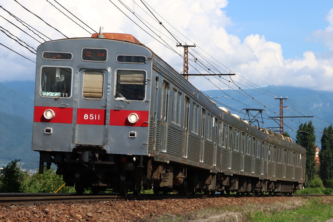 byT6