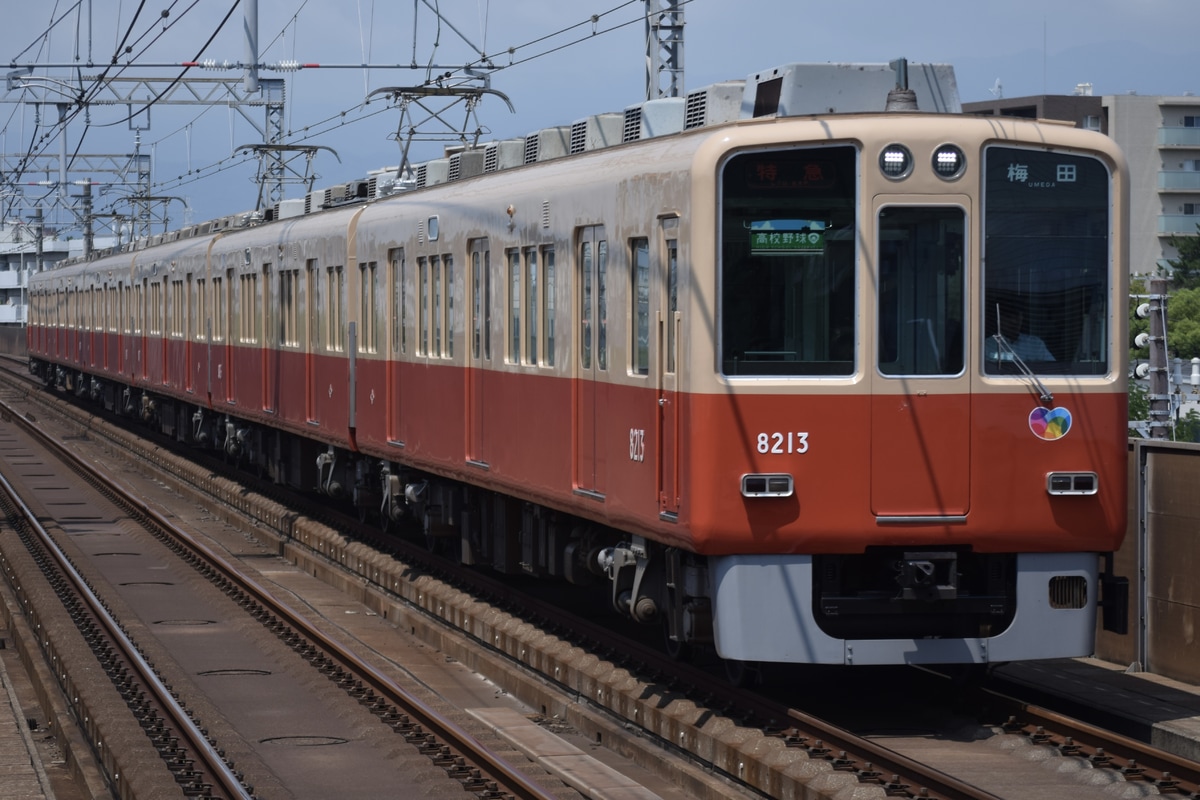 阪神電気鉄道 尼崎車庫 8000系 8213F