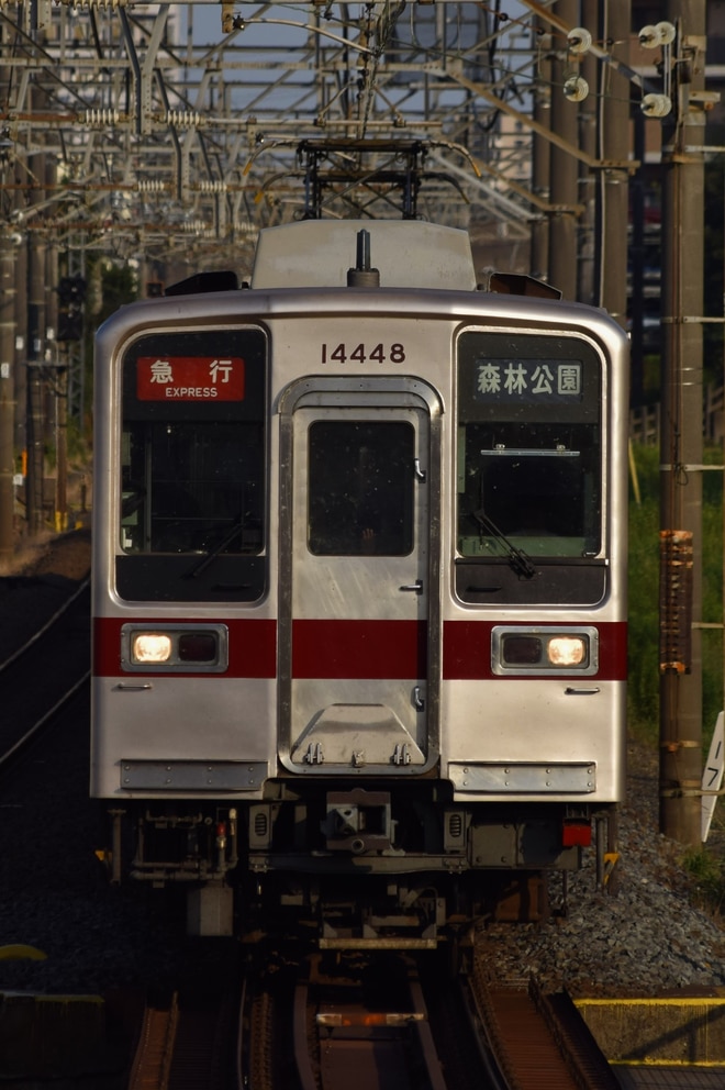 byトーブ