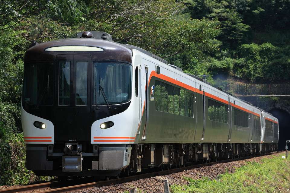 JR海HC85系D204編成の写真