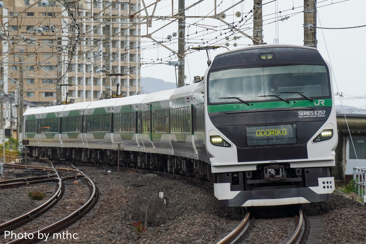 JR東日本 大宮総合車両センター東大宮センター E257系 オオOM-91編成