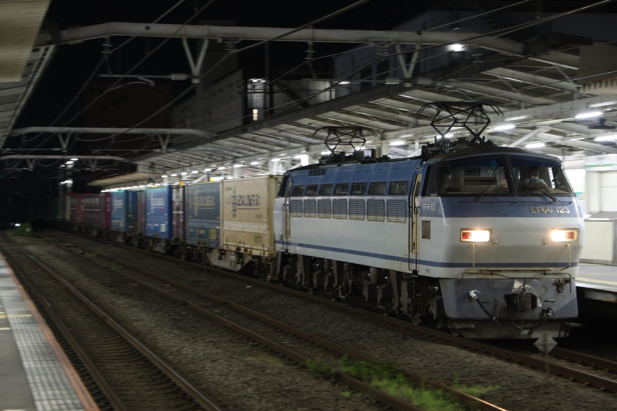 JR貨物 吹田機関区 EF66 123