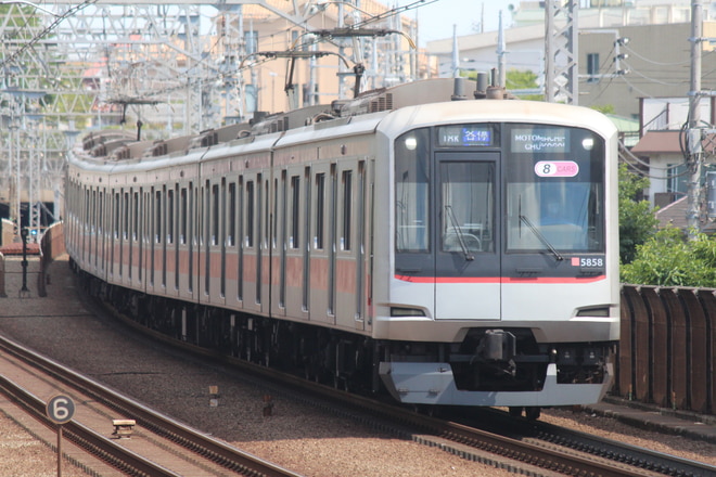 byヒヨドリ７