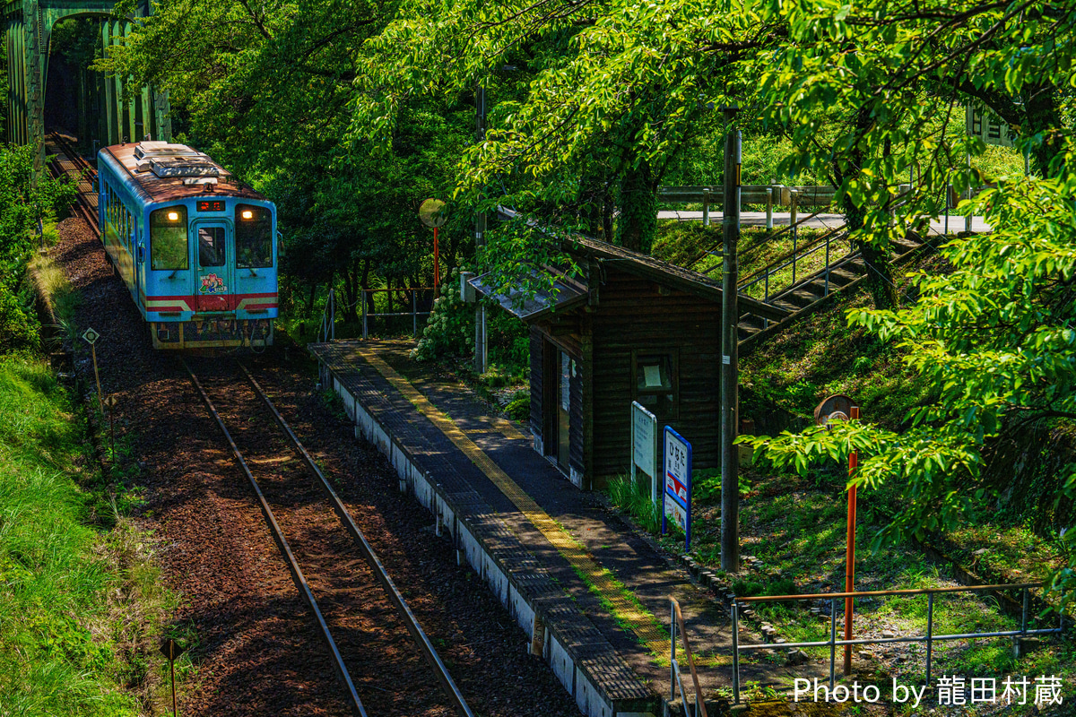 樽見鉄道  キハ11 