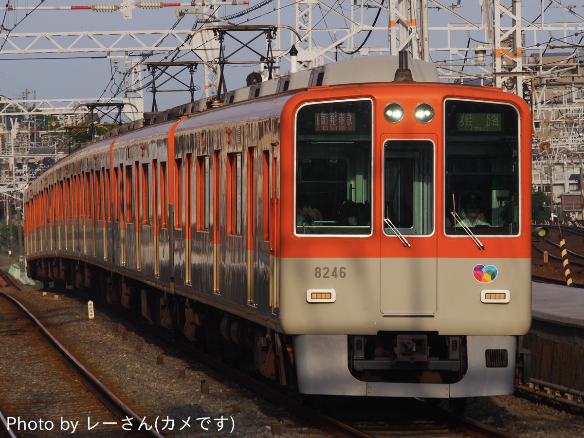 阪神電気鉄道 尼崎車庫 8000系 8245F