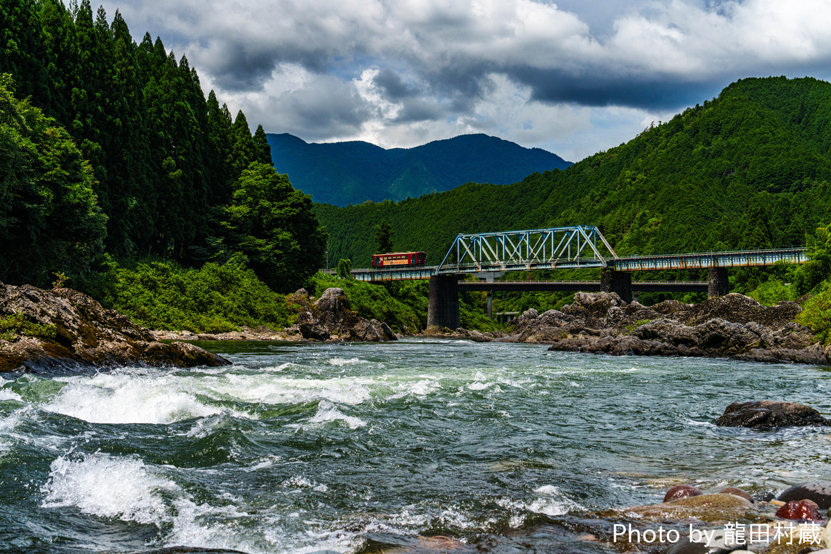 長良川鉄道  キハ11 