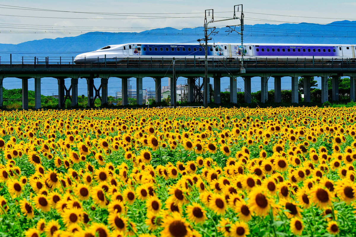 JR東海  N700A 