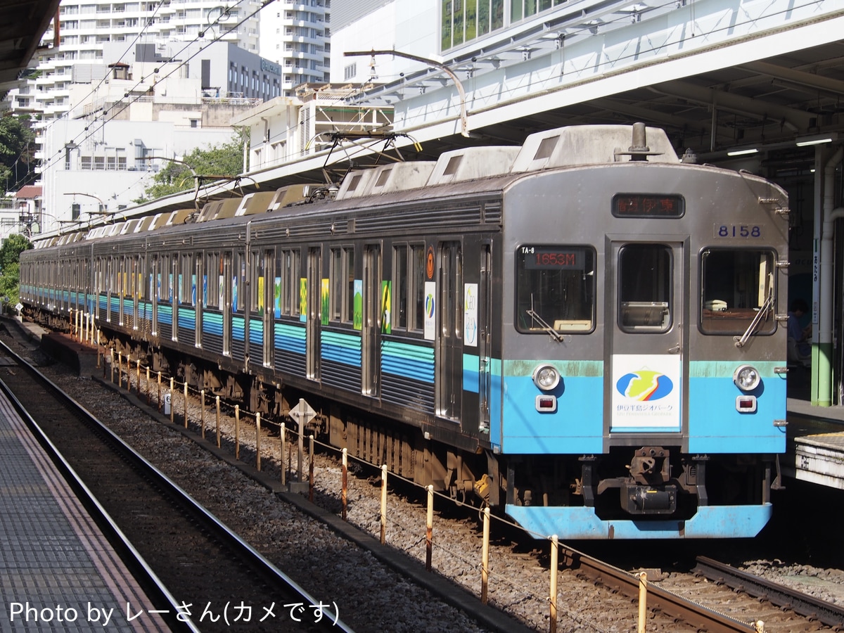 伊豆急行  8000系 TA-8