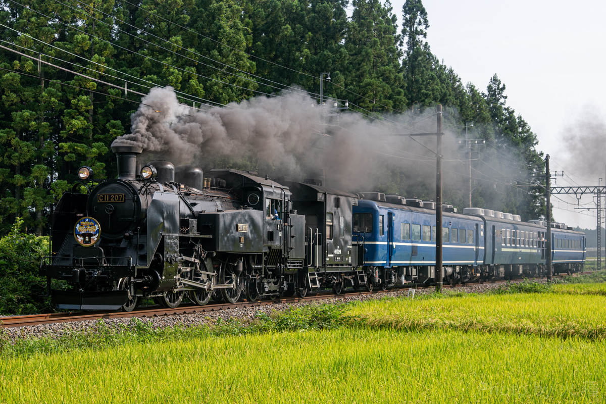 東武鉄道 下今市機関区 C11 207
