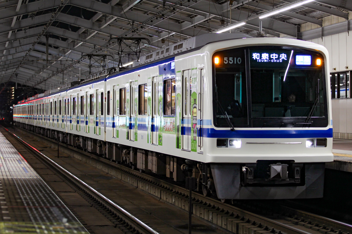 南海電気鉄道 光明池車庫 5000系 5509F