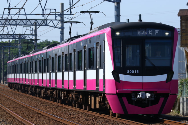 byLC-14s