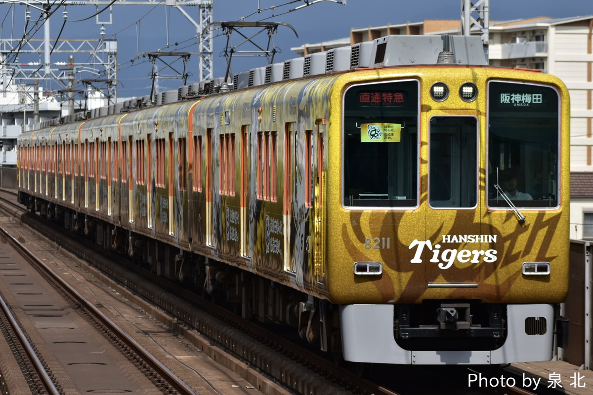 阪神電気鉄道 尼崎車庫 8000系 8211F