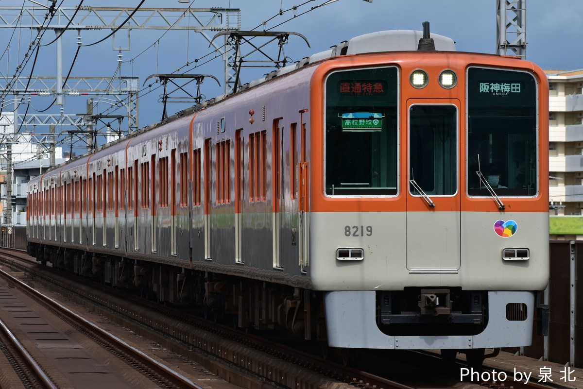 阪神電気鉄道 尼崎車庫 8000系 8219F