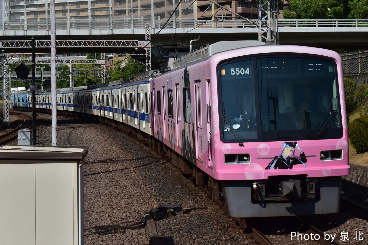 南海電気鉄道 光明池車庫 5000系 5503F
