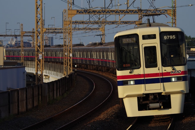 by山百合快特
