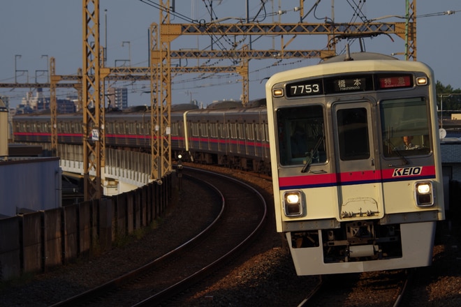 by山百合快特