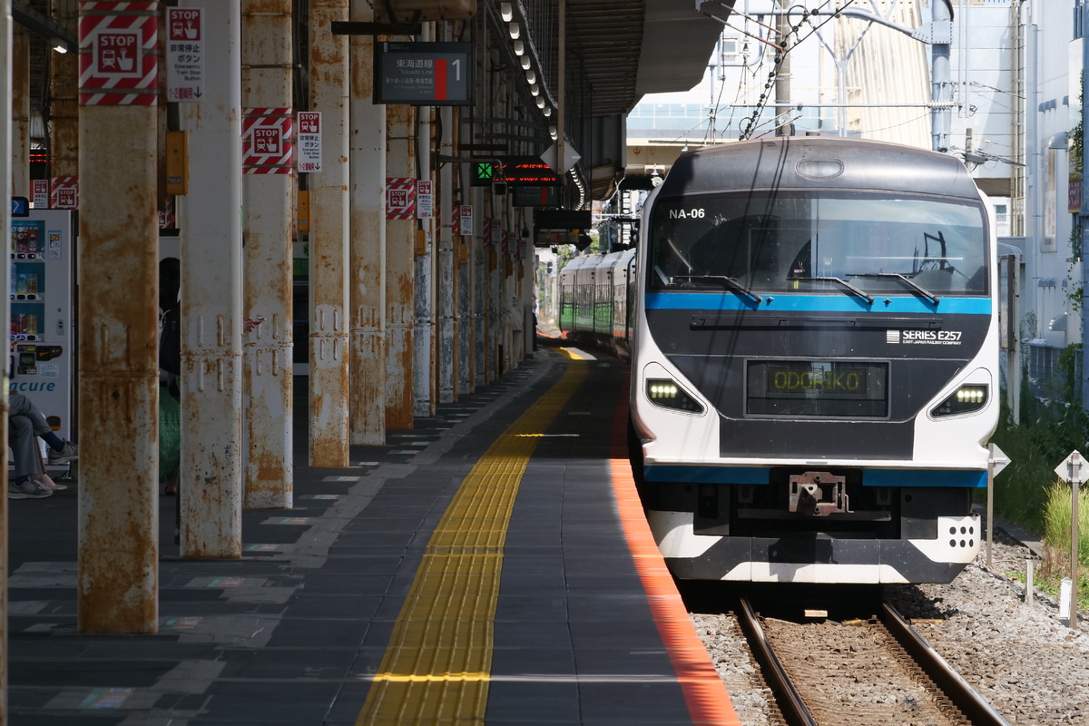 JR東日本 大宮総合車両センター本区 E257系 NA-06編成