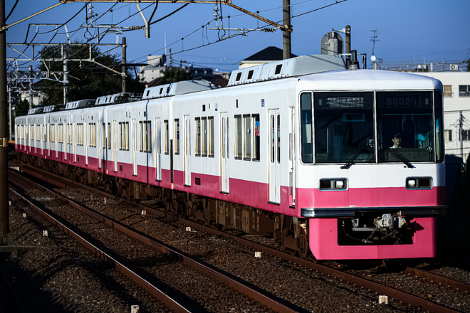 bysakawagawamania