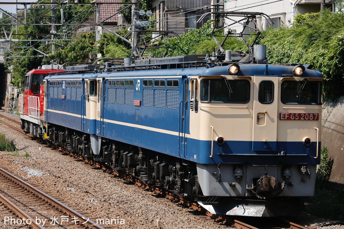 JR貨物 新鶴見機関区 EF65 2087
