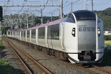 JR東日本E259系クラNe011編成を物井駅で撮影した画像