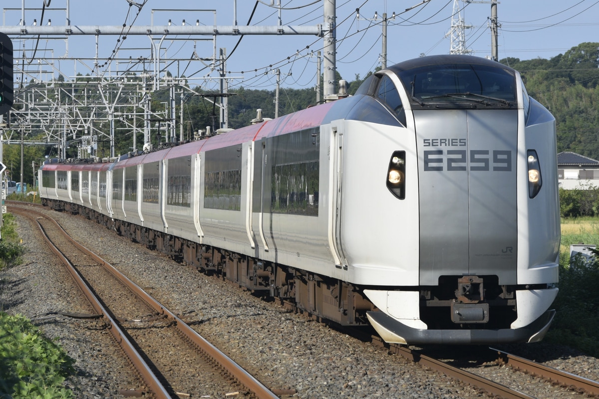 JR東日本 鎌倉車両センター本所 E259系 クラNe008編成