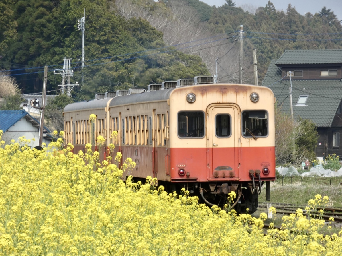 小湊鐵道  キハ200系 