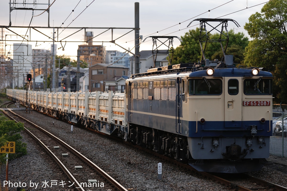 JR貨物 新鶴見機関区 EF65 2087