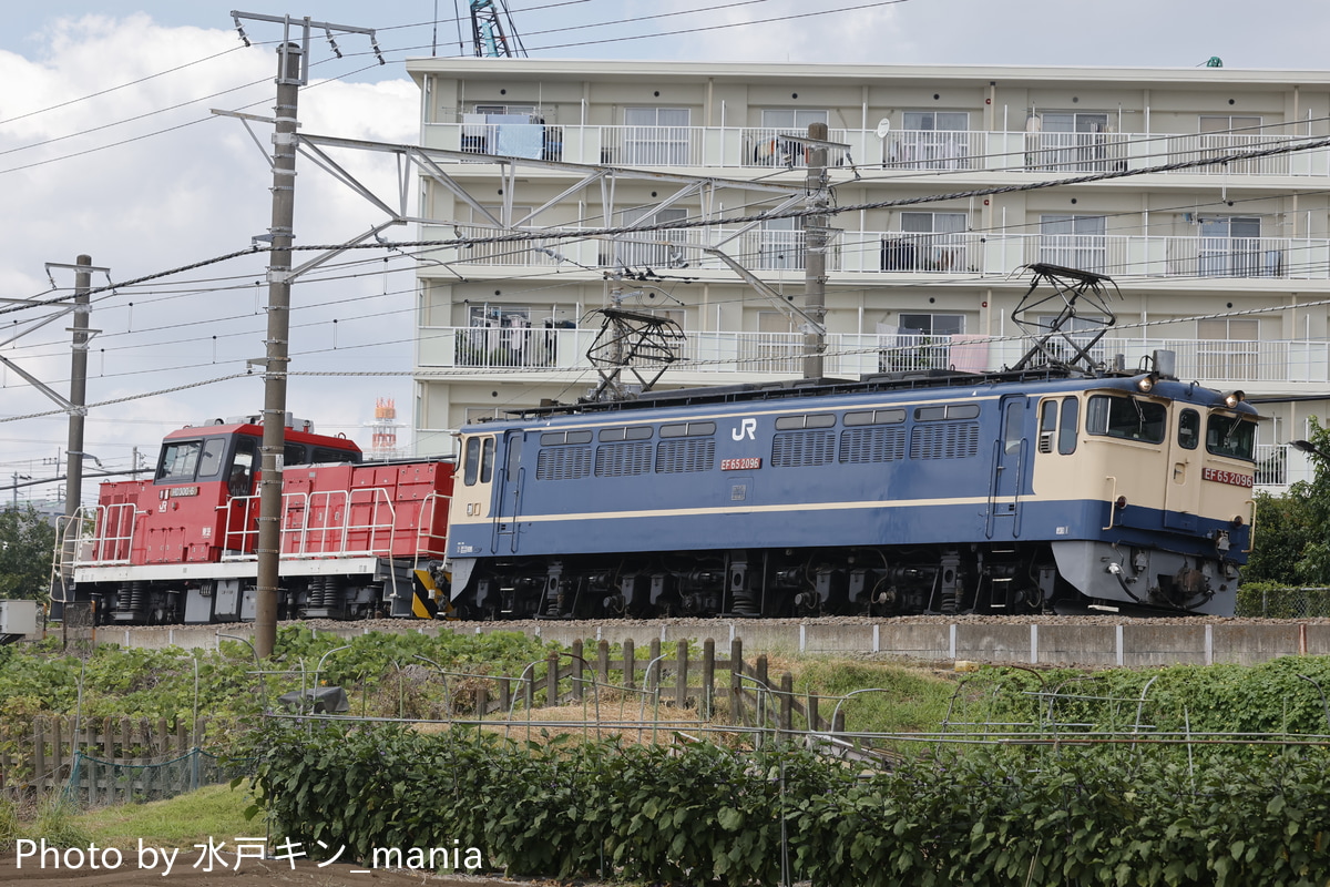 JR貨物 新鶴見機関区 EF65 2096
