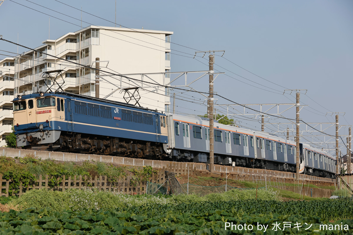 JR貨物 新鶴見機関区 EF65 2084