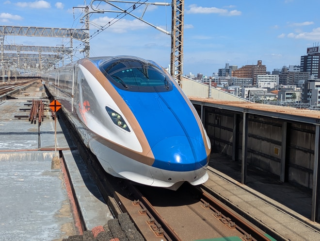 by国鉄産のかぼちゃ