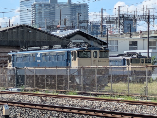 by国鉄産のかぼちゃ