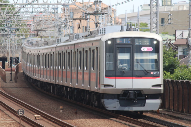 byヒヨドリ７