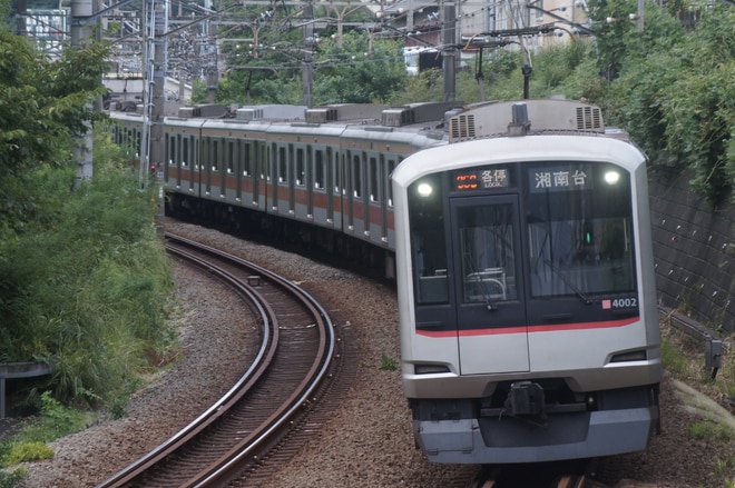 by情寂