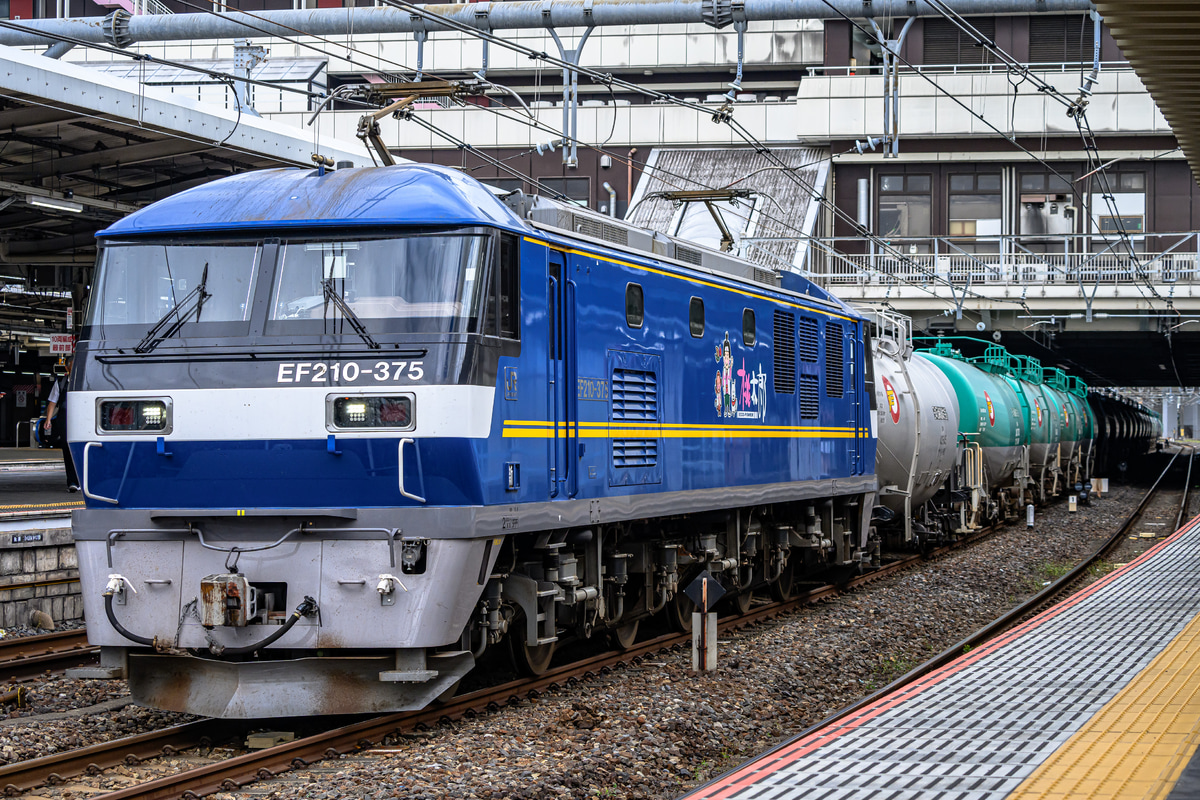 JR貨物 新鶴見機関区 EF210 375