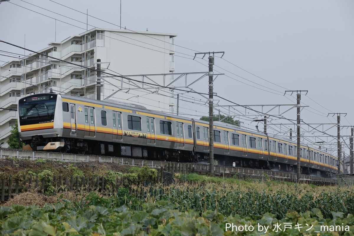 JR東日本 鎌倉車両センター中原支所 E233系 N12編成
