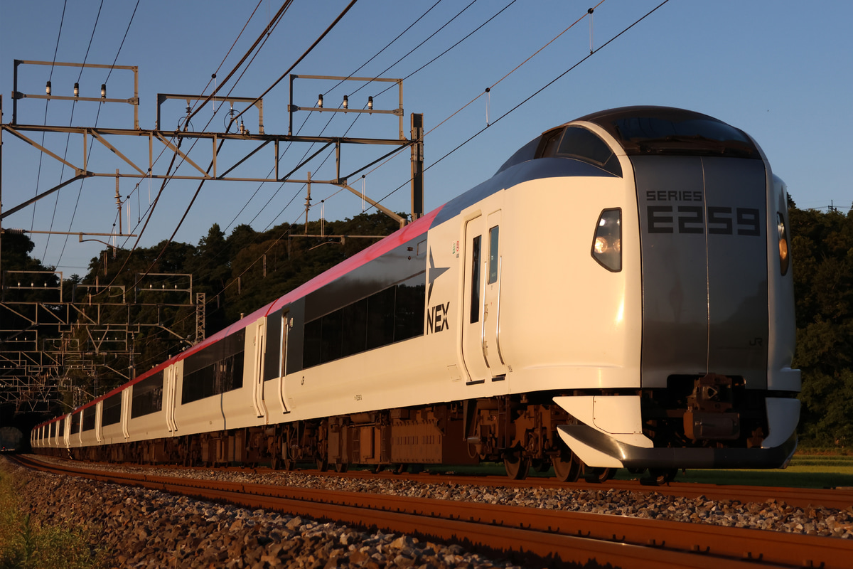 JR東日本 鎌倉車両センター本所 E259系 