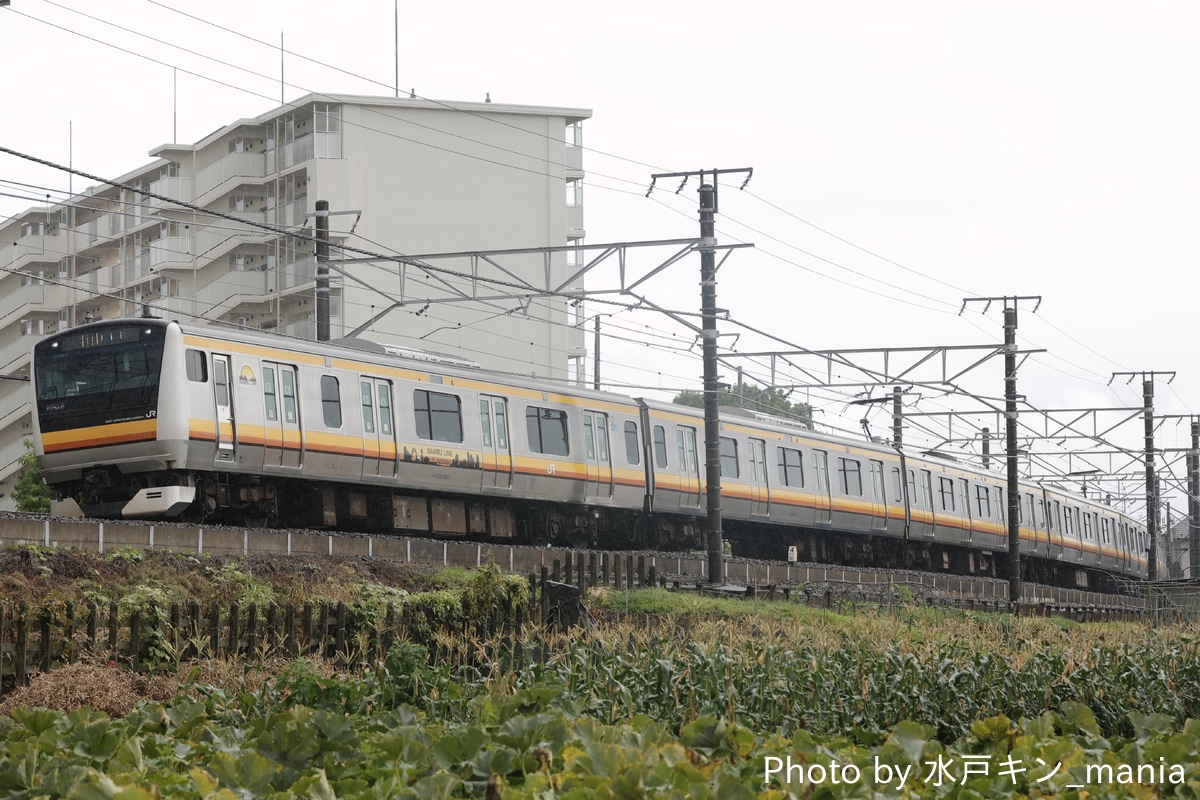 JR東日本 鎌倉車両センター中原支所 E233系 N3編成