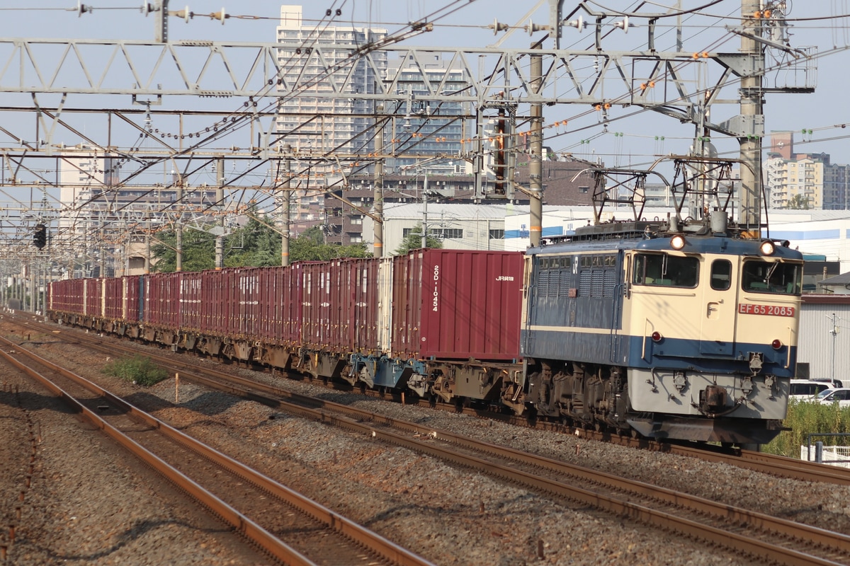 JR貨物 新鶴見機関区 EF65形 EF65-2085