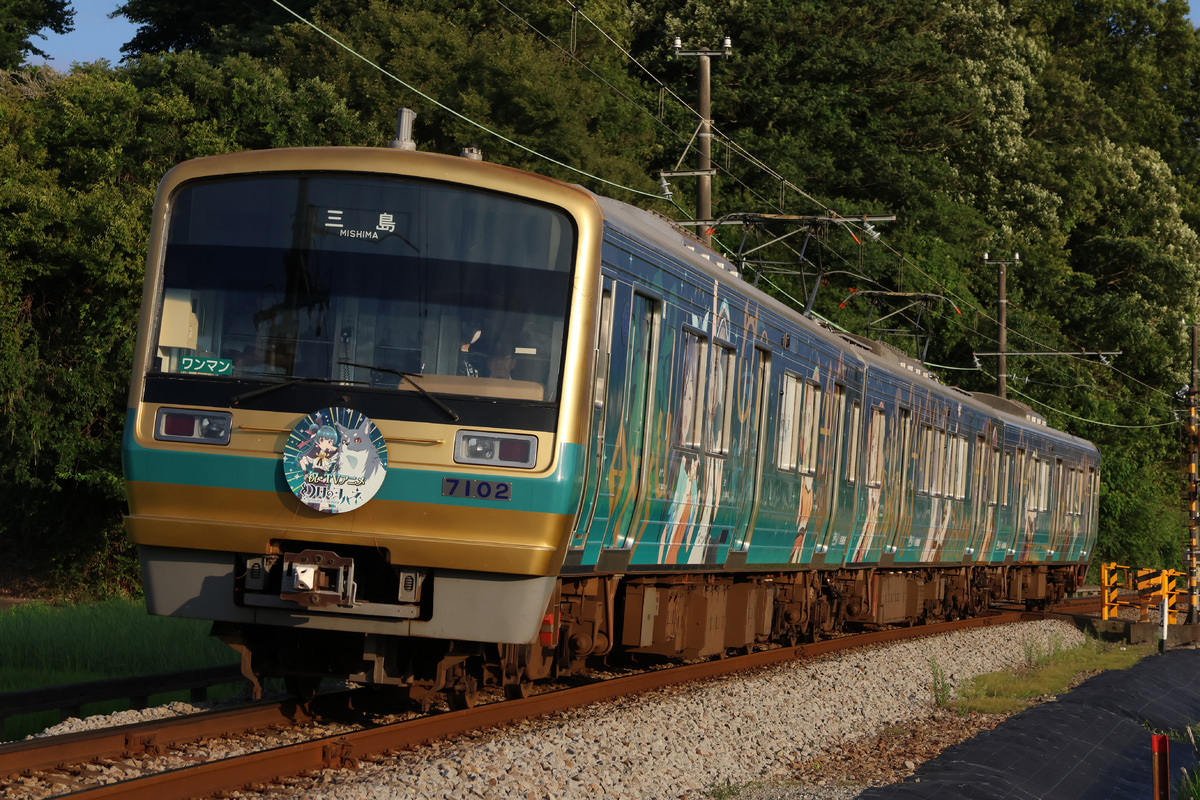 伊豆箱根鉄道 大場電車工場 7000系 7502編成