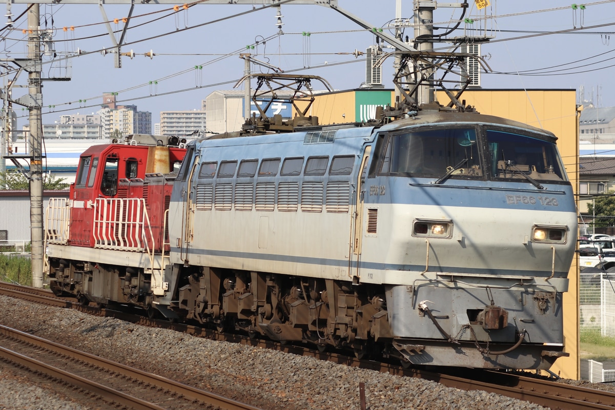 JR貨物 吹田機関区 EF66形 EF66-123