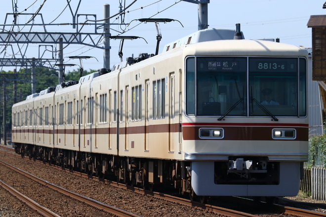 byLC-14s