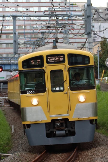 byT6